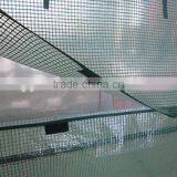 New Polytunnel Greenhouse 3X6m Duty PE Cover (more Than 15 Years Expericence) thumbnail-3