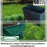 Eco-friendly Convenient Carrot Growing Bag for Patio or Balcony