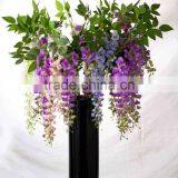 CHY012818 Wisteria Blossom Flower thumbnail-1