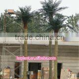 Artificial Big Tower Palm Trees thumbnail-2
