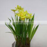 Artificial Mini Narcissus Bonsai for Table Decoration thumbnail-3