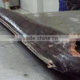 Sailfish DWT thumbnail-1