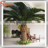 Songtao Suplier Artificial Date Palm Tree Customized Fibeerglass Date Palm Tree Fiberglass Artificial Palm Trees thumbnail-4