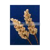 BERRY Sola Handmade Flower thumbnail-1