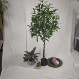 top quality home decorative plants artificial mango tree can be customized size