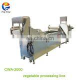 CWA-2000 Commercial Electric Type Fruits and Vegetable Cutter & Washing Production Line thumbnail-2