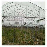 High Quality Cheap Price Agricultural Indoor Solar Greenhouse Frame With Plastic Sheet Tent thumbnail-4