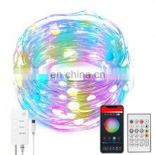 WiFi RGB Intelligent Light String for Festival Decorative Lights