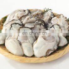 Frozen Oyster Half Shell Oyster thumbnail-4