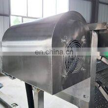 Multifunctional Dried Rinsing Cleaner Air Tomato Ginger Bubble High Pressure Surf Type Fruit Wash Machine thumbnail-4