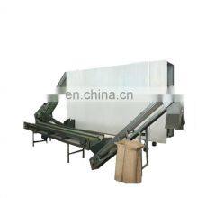 Top Quality Teja Chili Stem Cutting Plant thumbnail-1