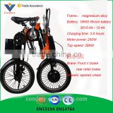 2016 New Electric Bike 14 Inch Electric Folding Bicycle 250W Electric Bicycle China Accept OEM