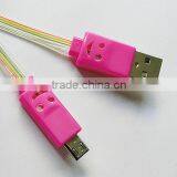 Colorful Led Micro Cable
