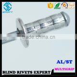 HIGH QUALITY FACTORY DOME HEAD AL/ST MULTI GRIP RIVETS thumbnail-5