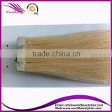 Top Quality Tape Malaysian Hair Extension 613# thumbnail-1