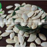 Yellow Pumpkin Seeds in Shell thumbnail-1