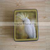 Parrot Rectangluar Cookie Tin Box for Cookies