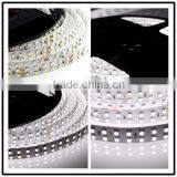 3528 240led/m Double Rows LED Strip With CE RoHS