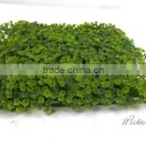 China manufacturing low cost high quality Artificial grass carpet /plastic mat for decoration