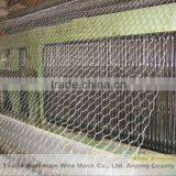Hexagonal Wire Net (20 Years of Factory)