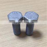 High Quality Hot Dip Galvanized Bolt thumbnail-5