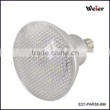 Spotlights Item Type and warm white / cool white Color Temperature(CCT) Led Par30