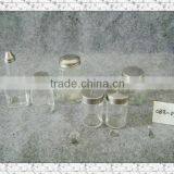 Glass Spice Jar