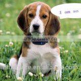 2016 Shenzhen Real Factory The Worlds Smallest Pet Gps Tracker !factory Micro Gps Tracker for Persons and Pets Tracker Collar thumbnail-2