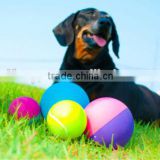 wholesale solid pet ball stress ball made in thailand