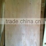 1.7 - 2.4 mm Eucalyptus Core Veneer thumbnail-1