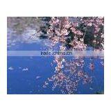 High Glossy Polyester Oil Canvas thumbnail-1