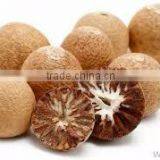 Dried Betel Nut High Quality From Vietnam