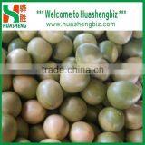 Fresh Pomelo/Chinese Pomelo Fruit/Pomelo Prices thumbnail-1