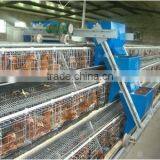 TAIYU Most Popular A Type 3 Tiers And 4 Tiers Battery Cage With Automatic Feeder thumbnail-3