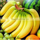 Plant Growth Regulator 85% TC Ethephon thumbnail-6