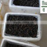 HOT!!! 100% Natural Organic Dried Prickly Sea Cucumber thumbnail-4