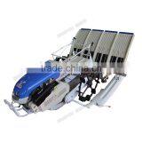 Paddy Seedlings China Factory Hand Paddy Seedlings Manual Paddy Seedlings 2ZS-4A thumbnail-3