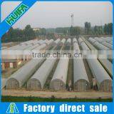 Rodent Proof Low Cost Commercial Plastic Greenhouse for Tomato thumbnail-2