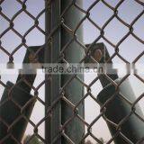 High Security PVC Coated Hot Dipped Galvanized Chain Link Wire Mesh Fence thumbnail-4