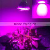 Made In China Led Grow Light Greenhouse Horticulture Used LED Grow Light thumbnail-5