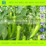 Advanced Agricultural Greenhouse for Vegetable thumbnail-4