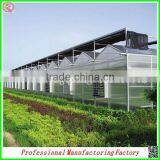 Commercial Steel Frame Venlo Polycarbonate Greenhouses With Irrigation System thumbnail-5