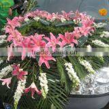 Wet Floral Foam of Aspack thumbnail-5