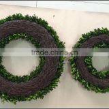 16'' Natural Boxwood Wreath Preserved thumbnail-3