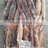 Frozen Seafood Importers of Illex Squid thumbnail-3
