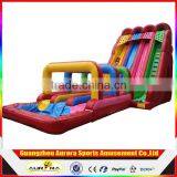 Hippo Inflatable Water Slides With Pool for Party and Events