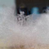 перо и пух thumbnail-1
