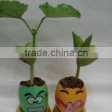 Magic Egg With Abundant Faces With Customized Magic Bean With Tray
