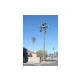 Palm Cell Tower thumbnail-1