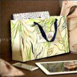 Fashionable Shopping Paper Bag Wholesale Customise Paper Gift Bag thumbnail-1